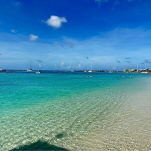 Liveshow quick listing